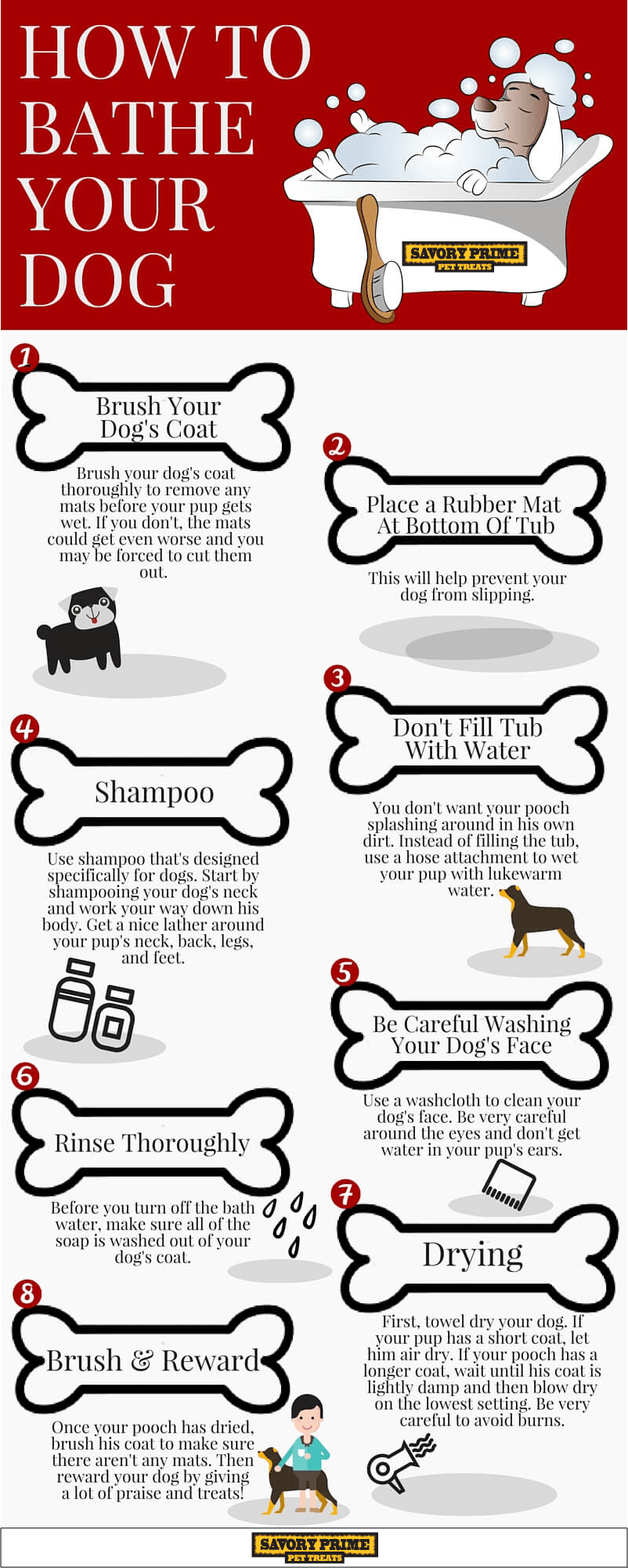 Effective Ways to Bathe a Dog: Essential Tips for 2025