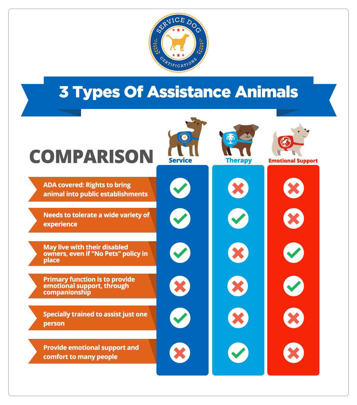 How to Properly Register Your Dog as an Emotional Support Animal in 2025: Essential Steps to Enhance Your Wellbeing