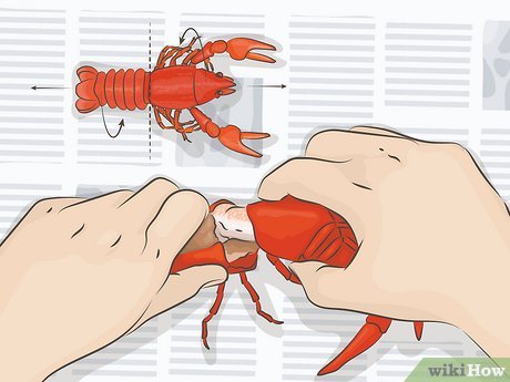 How to Eat a Crawfish