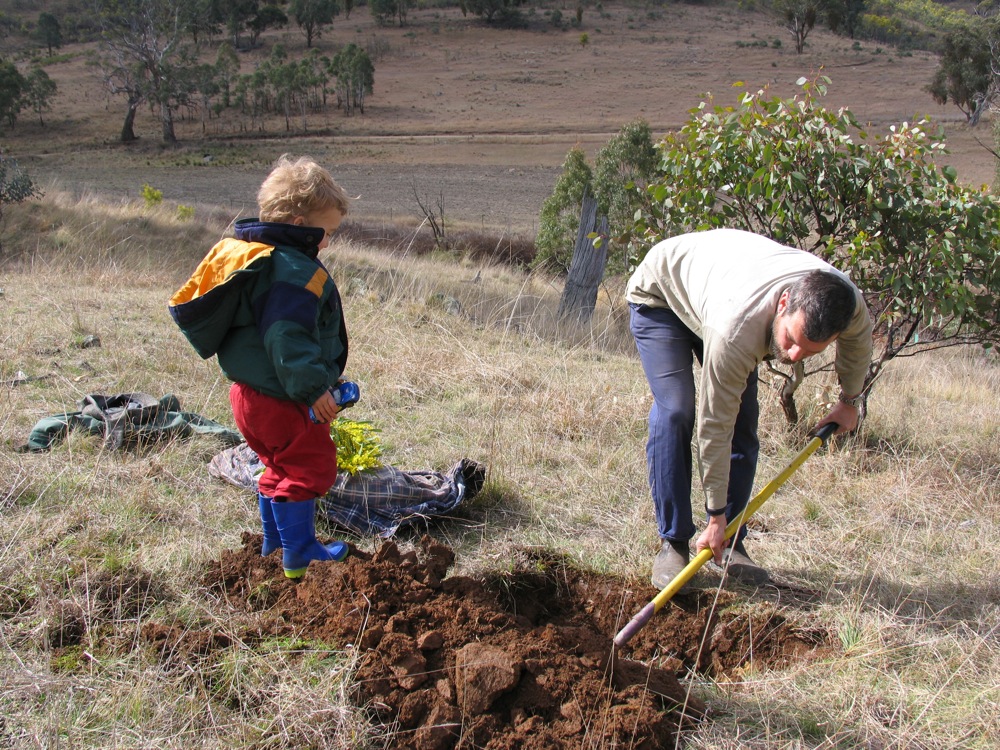 Effective Ways to Bury a Dog: A Practical Guide for Pet Owners in 2025